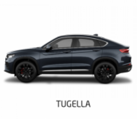 Ремонт Ремонт Автостекол Tugella